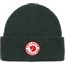 1960 Logo Hat