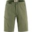 Abisko Hike Shorts M