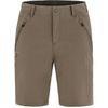 Abisko Trail Stretch Shorts W